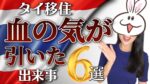 【タイ移住】色々あるけどとりあえず生きてるからヨシw |血の…