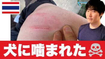 タイで犬に噛まれて血がにじんでしまいました。致死率100%狂犬病の対処法【どこにでも行くドスコイさん】