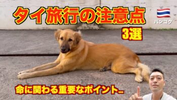 【注意】タイ旅行🇹🇭 絶対に気をつけるべきこと3選 タイ旅行に来る前にチェック!! タイでは普通の日常に危険が潜んでいる!?
